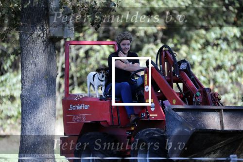 Boekel 10 oktober 2018
Steffi Verhagen aan het werk bij haar boerderij. In beokel zijn momenteel veel wolven waar jacht op wordt gemaakt door jagers.