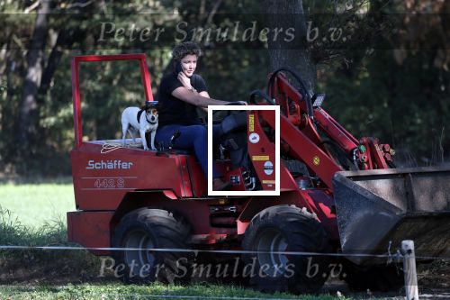 Boekel 10 oktober 2018
Steffi Verhagen aan het werk bij haar boerderij. In beokel zijn momenteel veel wolven waar jacht op wordt gemaakt door jagers.