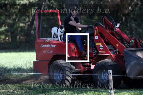 Boekel 10 oktober 2018
Steffi Verhagen aan het werk bij haar boerderij. In beokel zijn momenteel veel wolven waar jacht op wordt gemaakt door jagers.