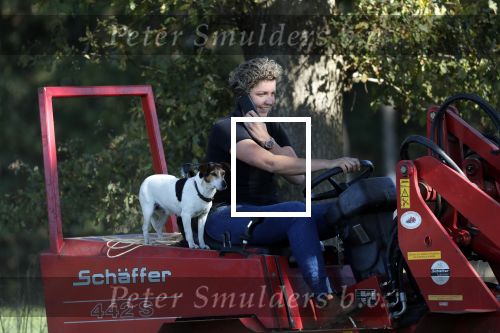 Boekel 10 oktober 2018
Steffi Verhagen aan het werk bij haar boerderij. In beokel zijn momenteel veel wolven waar jacht op wordt gemaakt door jagers.