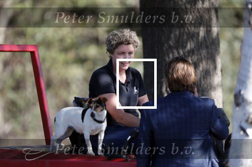 Boekel 10 oktober 2018
Steffi Verhagen aan het werk bij haar boerderij. In beokel zijn momenteel veel wolven waar jacht op wordt gemaakt door jagers.