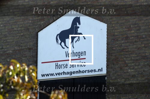 Boekel 10 oktober 2018
Steffi Verhagen aan het werk bij haar boerderij. In beokel zijn momenteel veel wolven waar jacht op wordt gemaakt door jagers.
