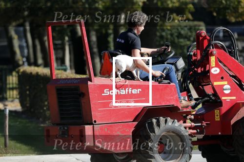 Boekel 10 oktober 2018
Steffi Verhagen aan het werk bij haar boerderij. In beokel zijn momenteel veel wolven waar jacht op wordt gemaakt door jagers.