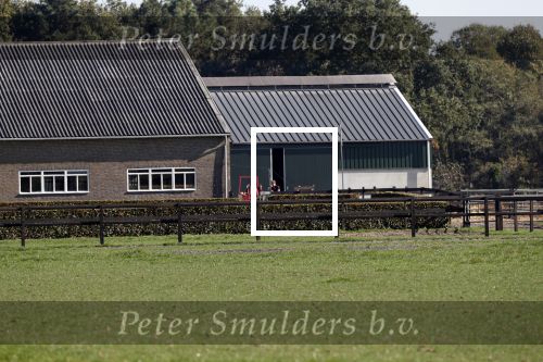 Boekel 10 oktober 2018
Steffi Verhagen aan het werk bij haar boerderij. In beokel zijn momenteel veel wolven waar jacht op wordt gemaakt door jagers.