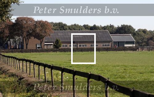 Boekel 10 oktober 2018
Steffi Verhagen aan het werk bij haar boerderij. In beokel zijn momenteel veel wolven waar jacht op wordt gemaakt door jagers.