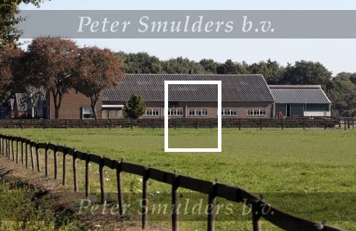 Boekel 10 oktober 2018
Steffi Verhagen aan het werk bij haar boerderij. In beokel zijn momenteel veel wolven waar jacht op wordt gemaakt door jagers.