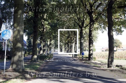 Boekel 10 oktober 2018
Steffi Verhagen aan het werk bij haar boerderij. In beokel zijn momenteel veel wolven waar jacht op wordt gemaakt door jagers.