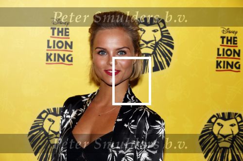 Scheveningen 17 oktober 2018
2 jaar de Lion King in het afas circustheater. Stijn Fransen