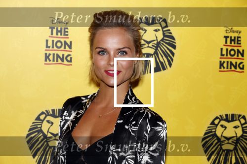 Scheveningen 17 oktober 2018
2 jaar de Lion King in het afas circustheater. Stijn Fransen