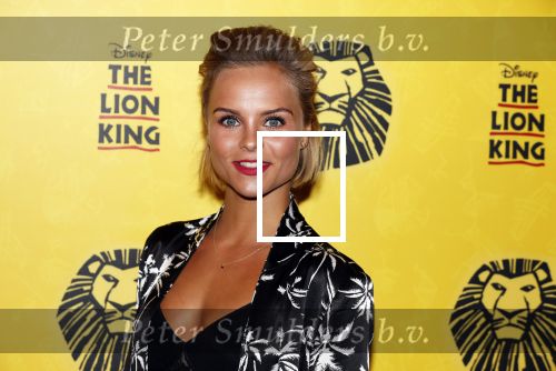 Scheveningen 17 oktober 2018
2 jaar de Lion King in het afas circustheater. Stijn Fransen