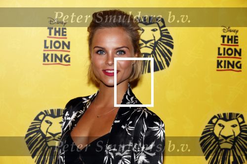 Scheveningen 17 oktober 2018
2 jaar de Lion King in het afas circustheater. Stijn Fransen