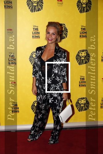 Scheveningen 17 oktober 2018
2 jaar de Lion King in het afas circustheater. Stijn Fransen