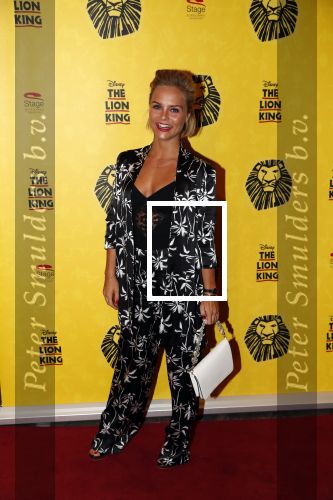 Scheveningen 17 oktober 2018
2 jaar de Lion King in het afas circustheater. Stijn Fransen