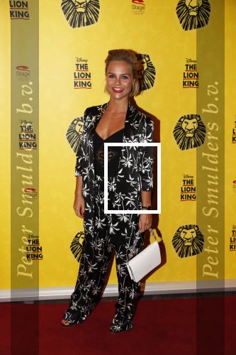 Scheveningen 17 oktober 2018
2 jaar de Lion King in het afas circustheater. Stijn Fransen