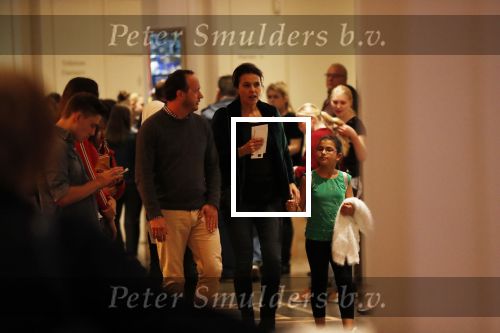 Scheveningen 17 oktober 2018
2 jaar de Lion King in het afas circustheater. Susan Visser kwam met Rein Hofman.en 3 kinderen