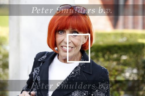 Woudenberg 8 oktober 2018
Herdenkingsdienst Anneke Gronloh in crematorium Woudenberg. Trea Dobbs met partner