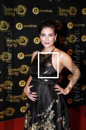 Amsterdam 11 oktober 2018
Uitreiking televizierring in AFAS LIVE.
Beau v Erven Dorens in de grote winnaar. Vivienne v d Assem zwanger