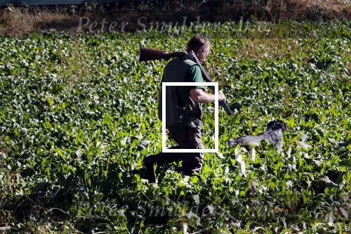 Boekel 10 oktober 2018
Steffi Verhagen aan het werk bij haar boerderij. In beokel zijn momenteel veel wolven waar jacht op wordt gemaakt door jagers.