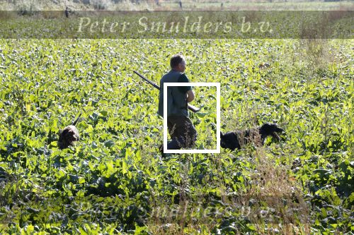 Boekel 10 oktober 2018
Steffi Verhagen aan het werk bij haar boerderij. In beokel zijn momenteel veel wolven waar jacht op wordt gemaakt door jagers.