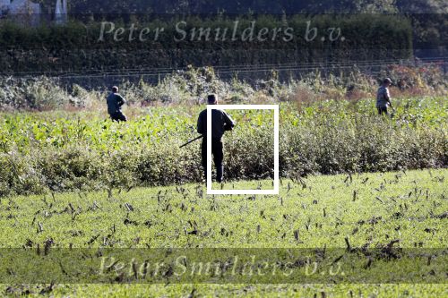Boekel 10 oktober 2018
Steffi Verhagen aan het werk bij haar boerderij. In beokel zijn momenteel veel wolven waar jacht op wordt gemaakt door jagers.