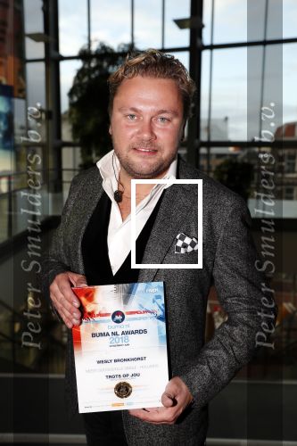 Utrecht 1 oktober 2018
Uitreiking buma prijzen in vredenburg/tivoli. Wesly Bonkhorst