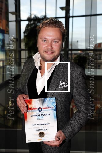 Utrecht 1 oktober 2018
Uitreiking buma prijzen in vredenburg/tivoli. Wesly Bonkhorst