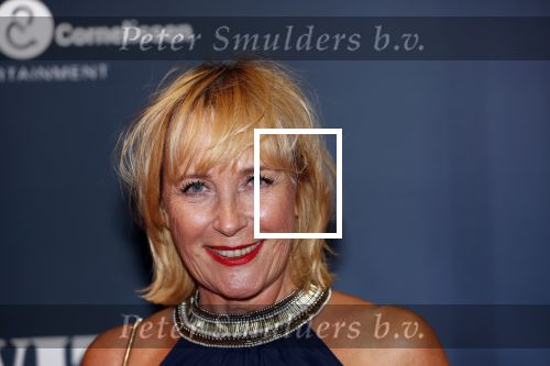 Amsterdam 22 augustus 2018
Premiere Evita in carre. Inge Ipenburg kwam met een kennis