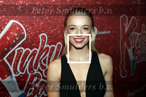 Amsterdam 11 november 2019
Premiere Kinky boots in theater de Meervaart. Aimee de Pater