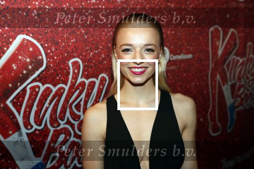 Amsterdam 11 november 2019
Premiere Kinky boots in theater de Meervaart. Aimee de Pater