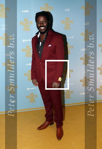 Amsterdam 7 oktober 2019
Premiere de belofte van Pisa in Tuschinski. Andre Dongelmans
