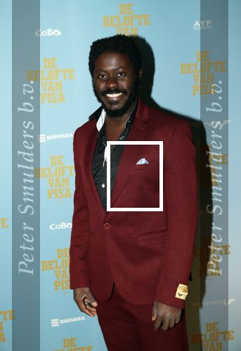 Amsterdam 7 oktober 2019
Premiere de belofte van Pisa in Tuschinski. Andre Dongelmans