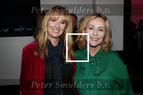 Amsterdam 12 november 2019
Presentatie nieuwe Nouveau met Leco v Zadelhoff als gast hoofdredakteur. De presentatie vond plaats in hotel The Dylan . Angela Groothuizen en Patty Zomer