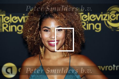 Amsterdam 9 oktober 2019
Uitreiking televizierring 2019 in AFAS Live. Anne Appelo