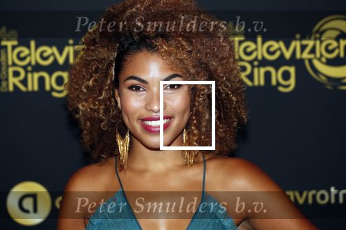 Amsterdam 9 oktober 2019
Uitreiking televizierring 2019 in AFAS Live. Anne Appelo