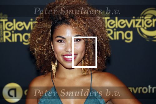 Amsterdam 9 oktober 2019
Uitreiking televizierring 2019 in AFAS Live. Anne Appelo