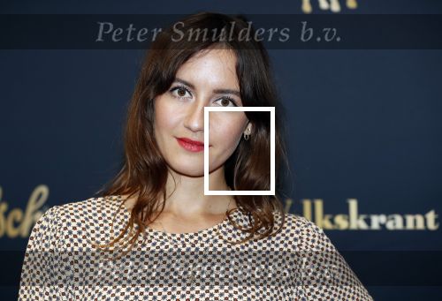 Utrecht 4 oktober 2019
Uitreiking gouden kalveren in schouwburg Utrecht. 
Anne v d Burg