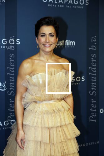 Amsterdam 28 oktober 2019
Premiere Galapagos in Tuschinski. Annechien Steenhuizen