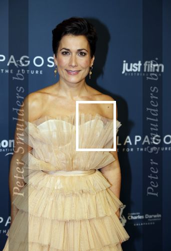Amsterdam 28 oktober 2019
Premiere Galapagos in Tuschinski. Annechien Steenhuizen