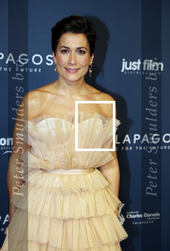 Amsterdam 28 oktober 2019
Premiere Galapagos in Tuschinski. Annechien Steenhuizen