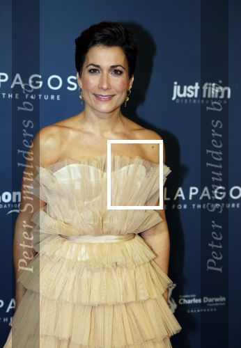 Amsterdam 28 oktober 2019
Premiere Galapagos in Tuschinski. Annechien Steenhuizen