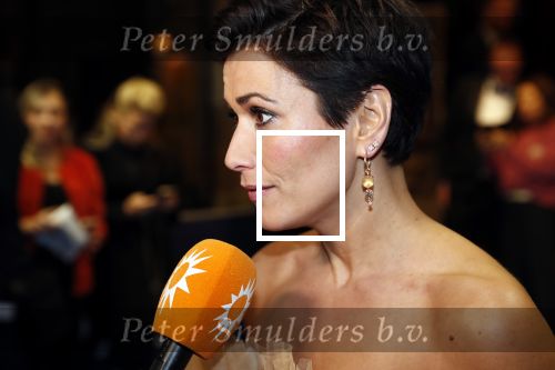 Amsterdam 28 oktober 2019
Premiere Galapagos in Tuschinski. Annechien Steenhuizen