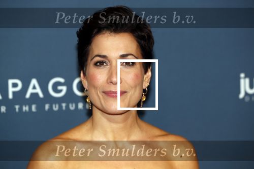 Amsterdam 28 oktober 2019
Premiere Galapagos in Tuschinski. Annechien Steenhuizen