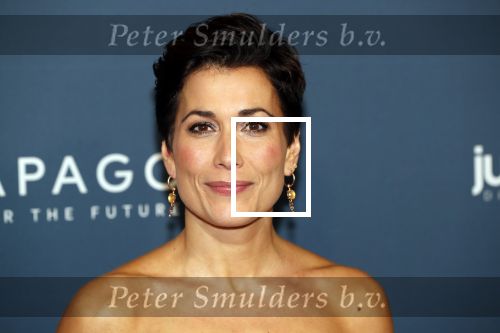 Amsterdam 28 oktober 2019
Premiere Galapagos in Tuschinski. Annechien Steenhuizen