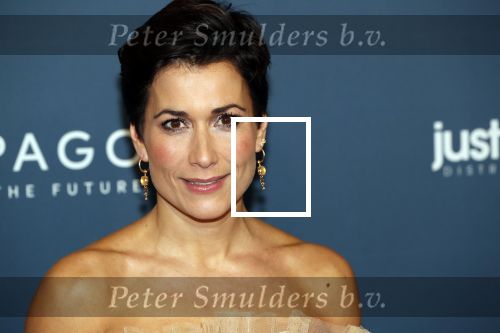 Amsterdam 28 oktober 2019
Premiere Galapagos in Tuschinski. Annechien Steenhuizen
