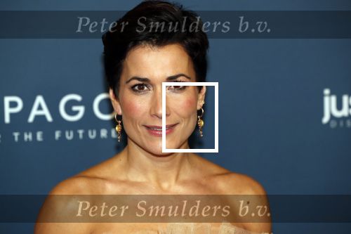 Amsterdam 28 oktober 2019
Premiere Galapagos in Tuschinski. Annechien Steenhuizen