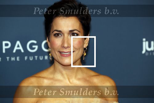 Amsterdam 28 oktober 2019
Premiere Galapagos in Tuschinski. Annechien Steenhuizen