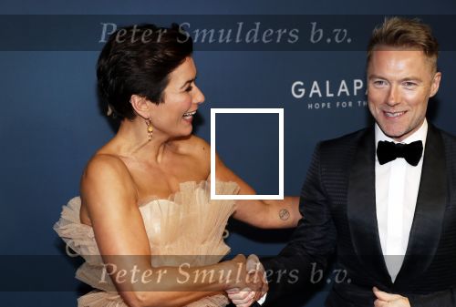 Amsterdam 28 oktober 2019
Premiere Galapagos in Tuschinski. Ronan Keating en Annechien Steenhuizen
