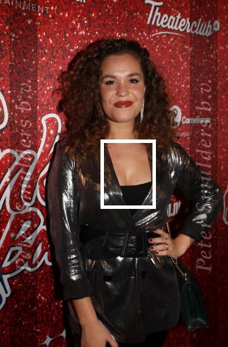 Amsterdam 11 november 2019
Premiere Kinky boots in theater de Meervaart. Annefleur v d Berg