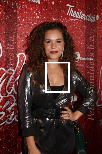 Amsterdam 11 november 2019
Premiere Kinky boots in theater de Meervaart. Annefleur v d Berg