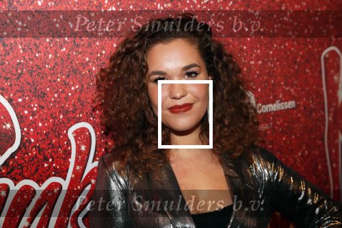 Amsterdam 11 november 2019
Premiere Kinky boots in theater de Meervaart. Annefleur v d Berg